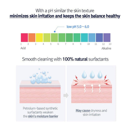 [PKY] Pyunkang Yul Low pH Pore Deep Cleansing Foam – Korean Face Cleanser with Diatomite, Tea Tree & Centella, Soothes & Deeply Cleanses, Gentle Makeup Remover (100ml)