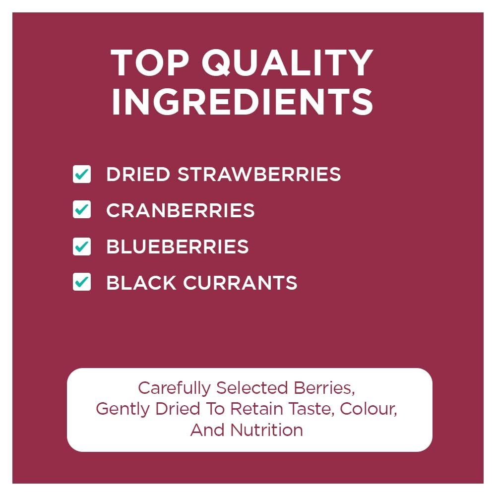 Nutty Gritties Premium Mix Berries 200g | Dried Cranberries, Blueberries, Strawberries & Black Currants | Antioxidant-Rich | Healthy Snack for Kids & Adults | Resealable Pouch