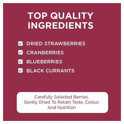 Nutty Gritties Premium Mix Berries 200g | Dried Cranberries, Blueberries, Strawberries & Black Currants | Antioxidant-Rich | Healthy Snack for Kids & Adults | Resealable Pouch