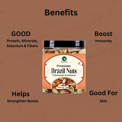 NatureOnus Brazil Nuts 100g, Premium | Rich in Selenium and Antioxidant Rich | Superfood | Have 1 Daily (Grade A ++ Nuts, Premium Jumbo Size, Imported) (100gms)