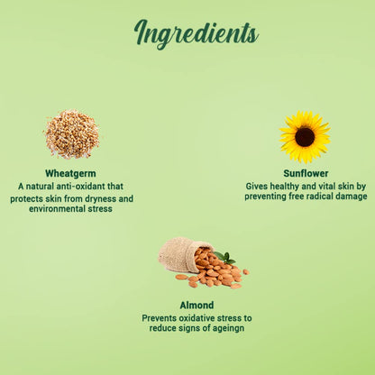 Biotique Wheat Germ Anti- Ageing Night Cream | Reduces Fine Lines | Lightens dark Spots | 100% Botanical Extracts | Suitable for All Skin Types | 50g