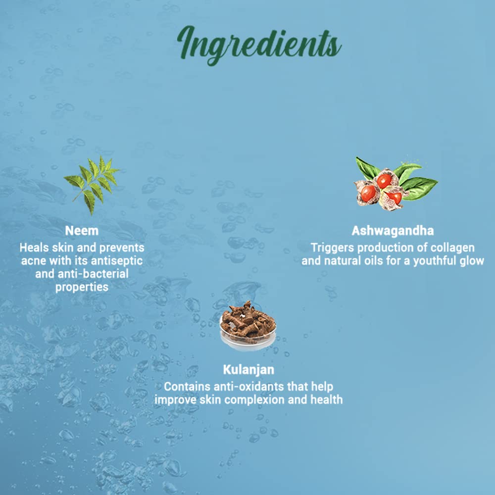 Ingredients list with illustrations and descriptions on a blue background