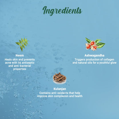 Ingredients list with illustrations and descriptions on a blue background