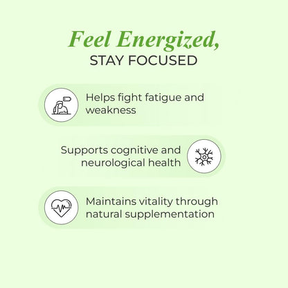 Nutrela Vitamin B12 Biofermented Plant Based Supplement for Men & Women with Moringa and Aloevera Extract - 30 Veg Capsules