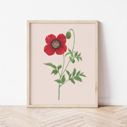 Poppy Botanical Wall Painting| Modern Art Painting for Living Room Bed Room and Office | 11 x 14 inches (Natural Frame)