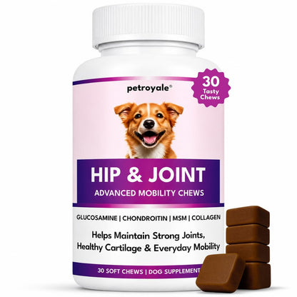 Petroyale Hip & Joint Advanced Mobility Soft Chews for Dogs | Glucosamine, Chondroitin, MSM, Collagen, Hyaluronic Acid, Boswellia & Devil's Claw | Joint Support Supplement | 30 Chews