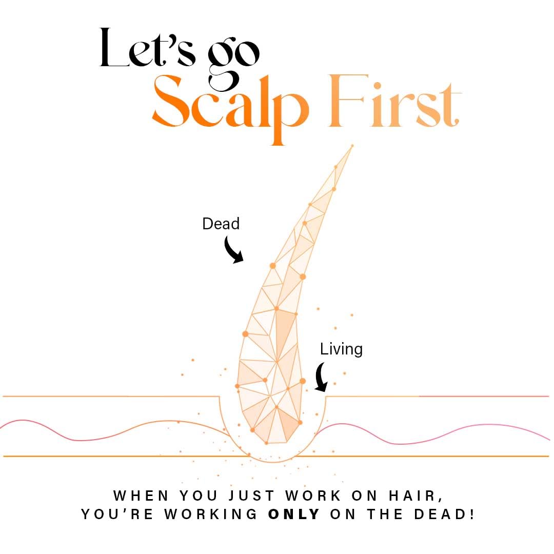Diagram of scalp with 'Dead' and 'Living' hair follicles and text 'Let's go Scalp First'.