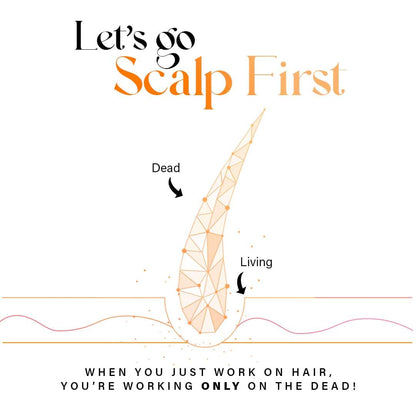 Diagram of scalp with 'Dead' and 'Living' hair follicles and text 'Let's go Scalp First'.