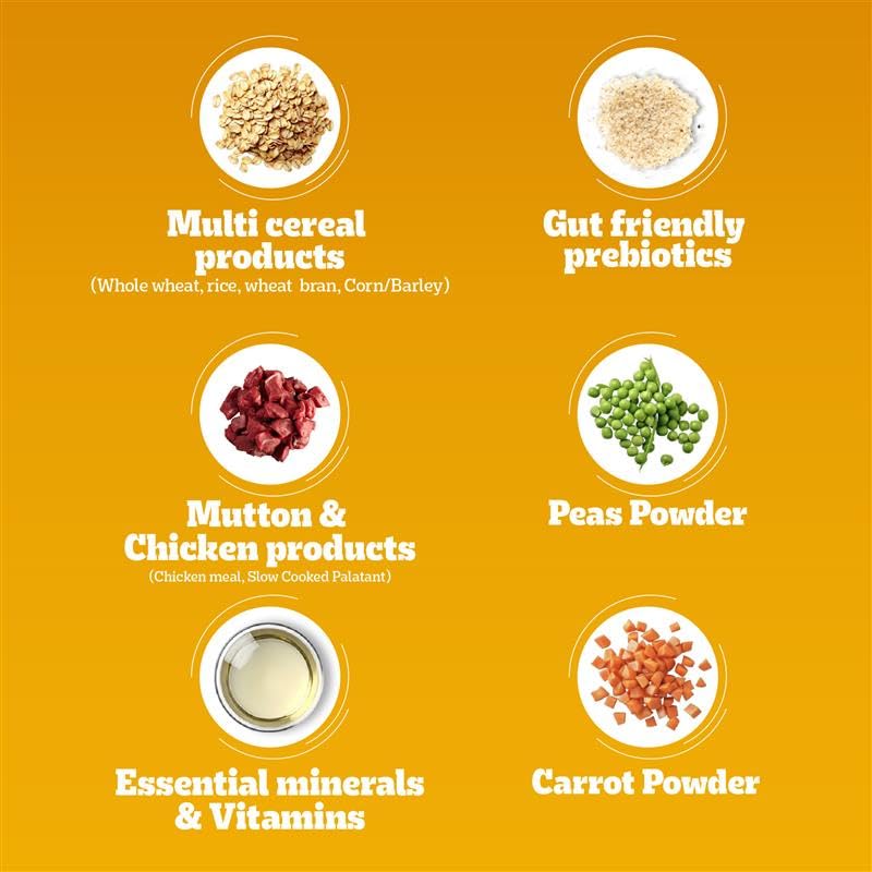 Pedigree Adult Dry Dog Food, Meat & Rice, 1 kg, Contains 37 Essential Nutrients, 100% Complete & Balanced Food for Adult Dogs