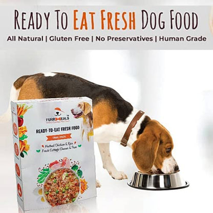 FurrMeals Wet Dog Food | Herbed Chicken and Rice | Pack of 1 x 500g | All Breed | Gluten Free | Preservative Free | Ready-to-Eat Fresh Dog Food
