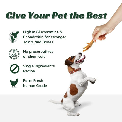 WAG IN JOY 100% Natural Dehydrated Chicken Feet Treats for Dogs | High in Glucosamine & Chondroitin | Gluten-Free |12-13 pcs | 120 gram|
