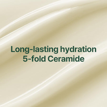[PKY] Pyunkang Yul Calming Moisture Nourishing Cream for Glow & Elasticity, Ceramides & Hyaluronic Acid; Skin Soothing with CICA & Tea Tree (50ml)