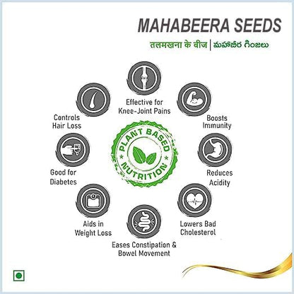 Pmw - Export Quatity Mahabeera seeds - 250G - Bottle Pack - Vana Tulasi - Pignuts Seeds - Edible Tulsi Seeds Carya Glabra - Talmakhana - Pure, Natural & Healthy, Weight loss, Hair Growth