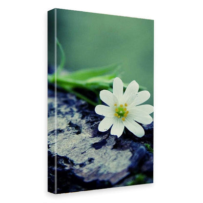 Printed Framed Canvas Painting for Home Decor Office Wall Studio Wall Living Room Decoration (10x14inch Wrapped) - White Single Flower