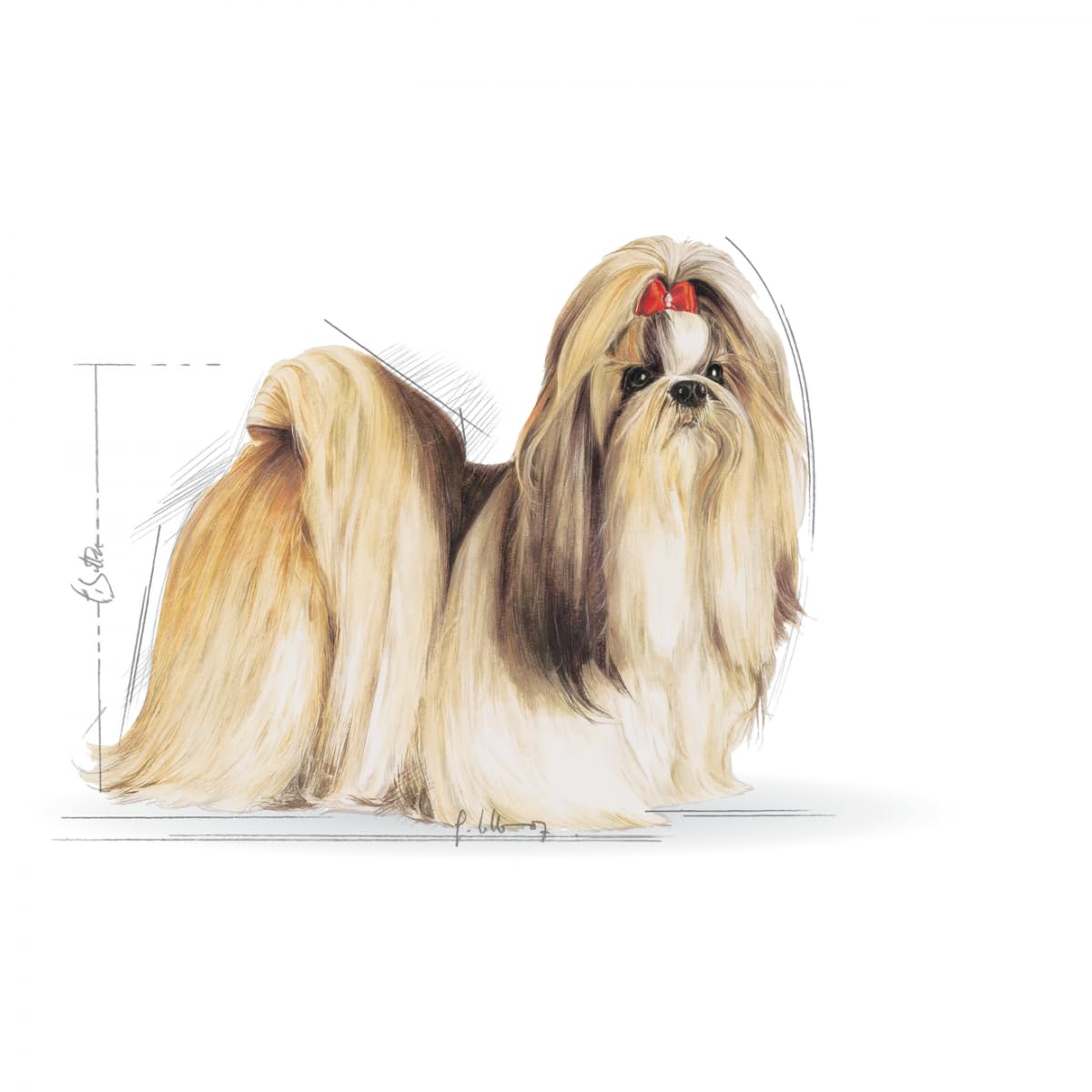 Royal Canin Shih TZU Adult Dog Food, Dry Food, Supports Healthy Skin & Dental Health, Helps in Stool & Odour Reduction, 1.5 Kg