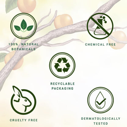 Set of green icons representing natural botanicals, chemical free, recyclable packaging, cruelty free, and dermatologically tested on a light background with branches and leaves.