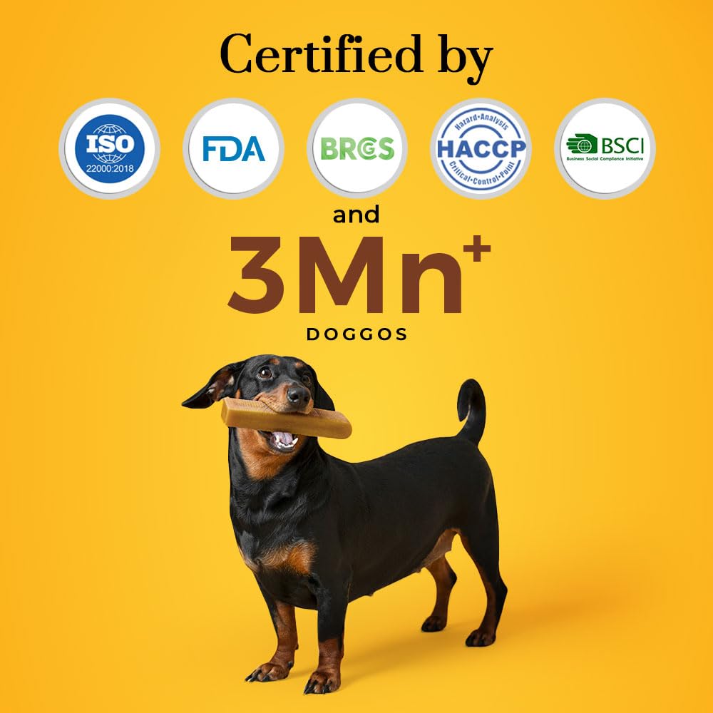 Dogsee Peanut Butter Infused 100% Natural Yak Chew Bones for Dogs 140 gm (Medium - 2 Chews) Healthy Alternative to Rawhide - High Protein, All Life Stages