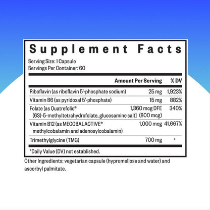 Evorina Seeking Health Homocysteine Nutrients - Supplement Formula with L-Methylfolate & Vitamin B12, B6 & B2 - Supports Healthy Cognition & Brain Function - Aids Homocysteine Metabolism - 60 Capsules | High Strength Herbal Supplement