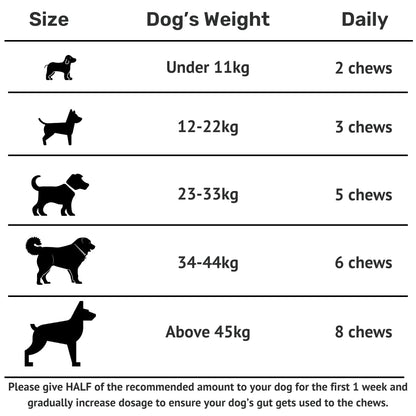 Absolut Pet Probiotic Chews for Dogs, Gut Health & Itch Relief | 60 Chews | Daily probiotic support for digestion & balanced gut flora; helps reduce scratching, paw-licking & itching in dogs.