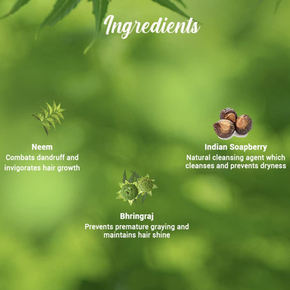Ingredients of a hair care product with Neem, Indian Soapberry, and Bhringraj on a green background.