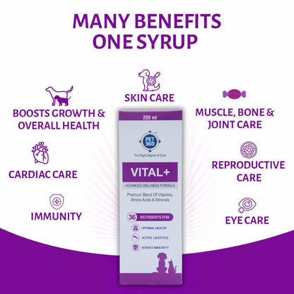 PET360 Vital+ Advanced Wellness Formula | Daily Multivitamin Syrup | Healthy Skin, Joints, Immunity & Growth | Nutritional Supplement for Dogs & Cats- 200 ml