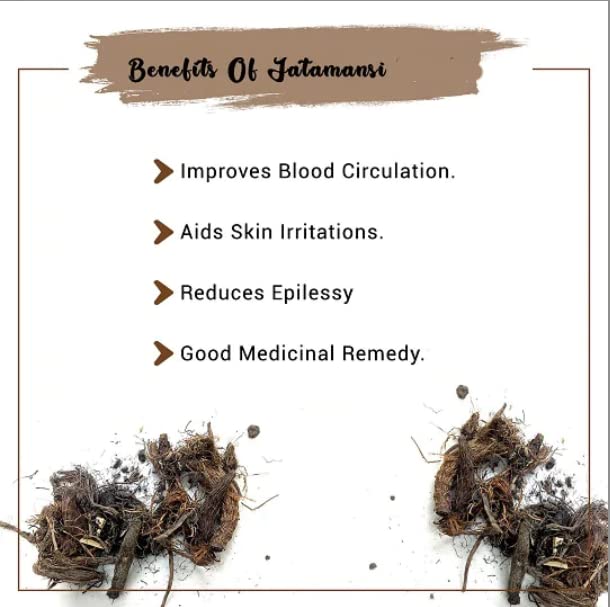 Namo Organcis Jatamansi Root 100g - Balchad - Jatamasi Jadd - Jatila - Nardostachys Jatamansi - Pure & Natural (100 Grams)