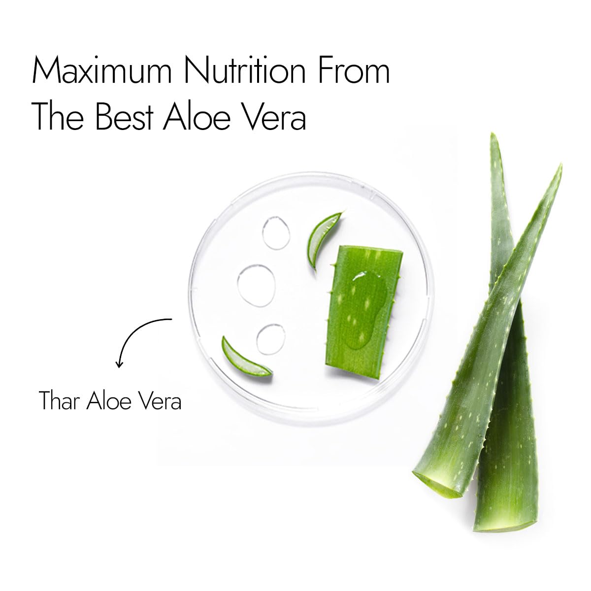 Kapiva Pure Aloe Vera Skin Gel For Face & Hair | Hydrating, Moisturizing, Soothing Skin | Multipurpose Gel