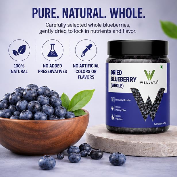 WELLAYA Premium Blueberry | Dry Fruit | High Nutrient and Antioxidant | Healthy & Tasty Whole & Dried Blueberry | Rich in Calcium and Vitamin K | Vegan