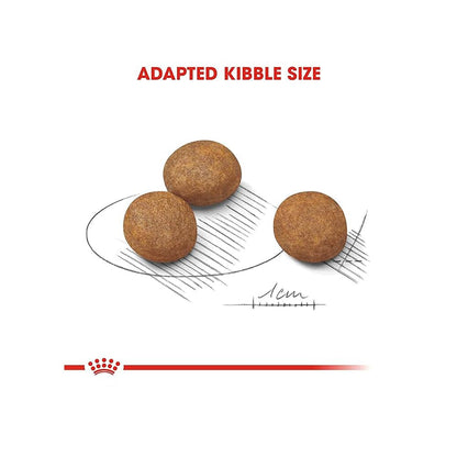 Royal Canin Maxi Puppy, Dry Food, 220 g | Supports Immunity And Digestive Health, With Long Growth And Moderate Energy
