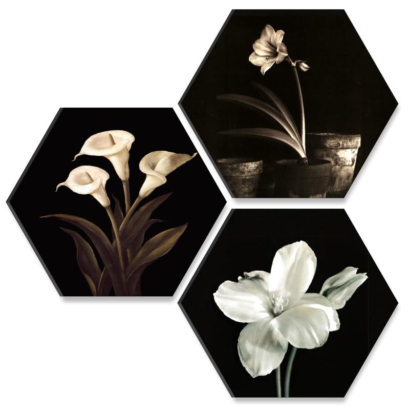 Flower Pot UV Textured MDF Set of 3 Hexagon Painting 17 Inch X 17 Inch HX131