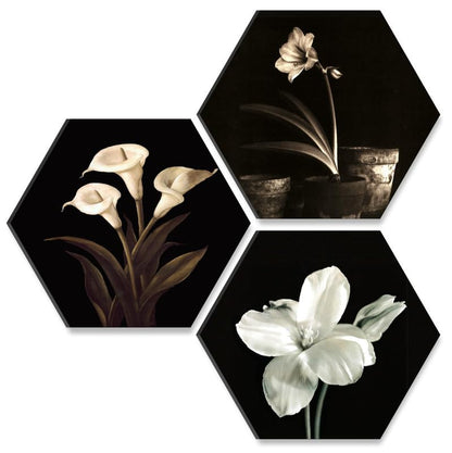Flower Pot UV Textured MDF Set of 3 Hexagon Painting 17 Inch X 17 Inch HX131