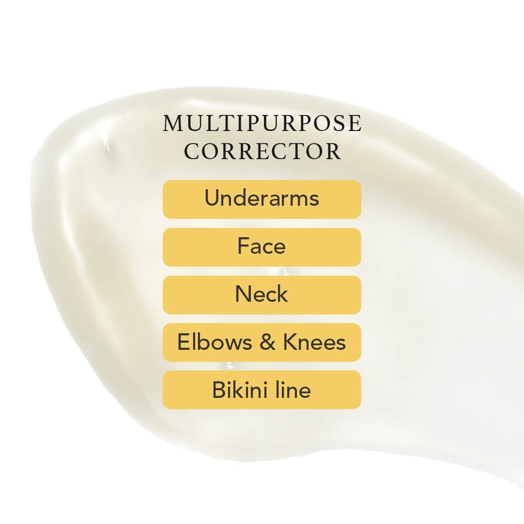 Multipurpose corrector with labeled application areas on a white background