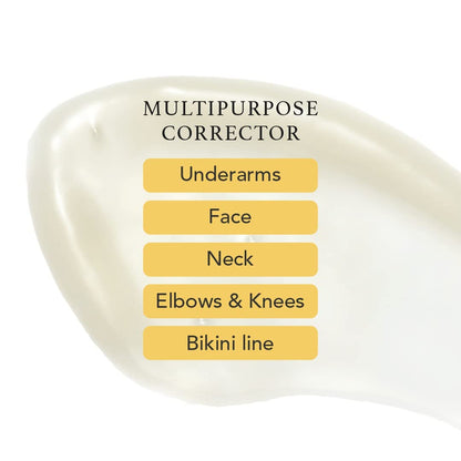 Multipurpose corrector with labeled application areas on a white background