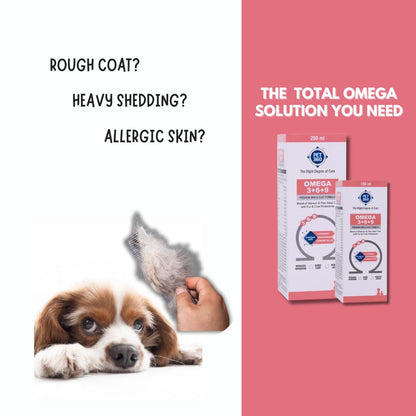 PET360 Omega 3+6+9 for Dogs | Blend of Salmon & Flax Seed Oils with Fur & Coat Protectives | Reduced Shedding | Shiny Coat | Healthy Joints | Nutritional Supplement for Pets - 200 ml