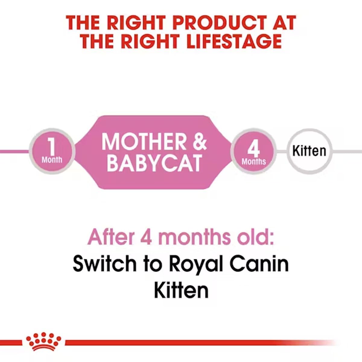 Royal Canin Mother & Babycat, Dry Food, 400 g | Supports Mother and Kitten Health, Brain Development and Natural Immunity