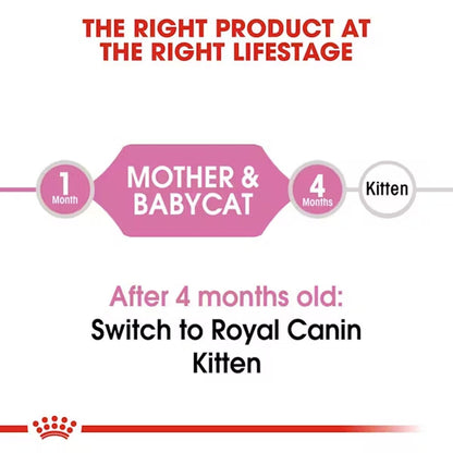 Royal Canin Mother & Babycat, Dry Food, 400 g | Supports Mother and Kitten Health, Brain Development and Natural Immunity