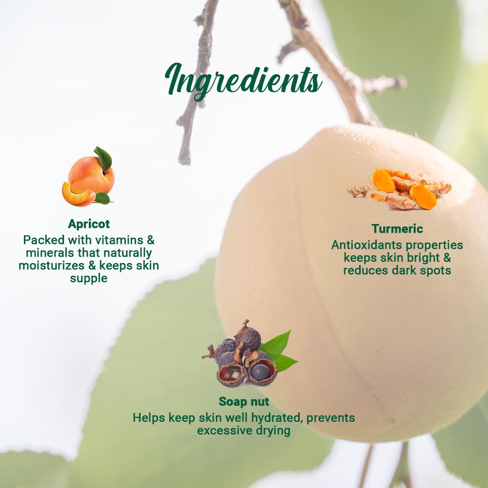 Ingredients of a skincare product with apricot, turmeric, and soap nut displayed on a green leaf background.