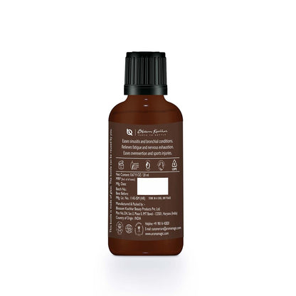 Aroma Magic Pine Essential Oil 20 ml