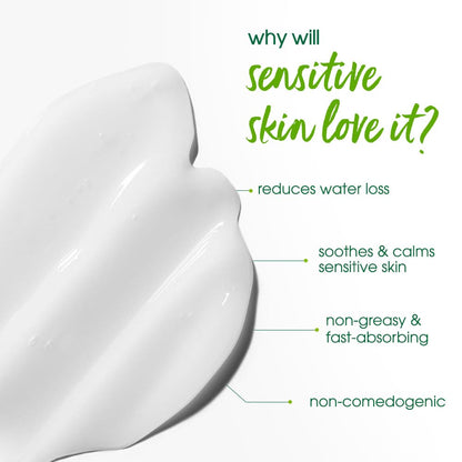 Simple Hydrating Light Moisturiser, 125ml | 12HR Hydration | With Niacinamide, Pro-Vitamin B5, Strengthens Skin Barrier| Lightweight, Non-Greasy Moisturizer | For Soft, Smooth Skin