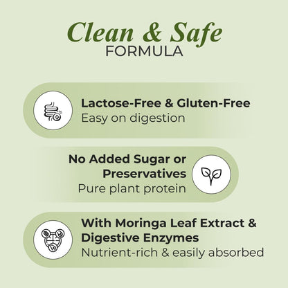 Nutrela Green Plant protein Powder - 500g (Chocolate) | Brown Rice & Pea with Multivitamins & Minerals