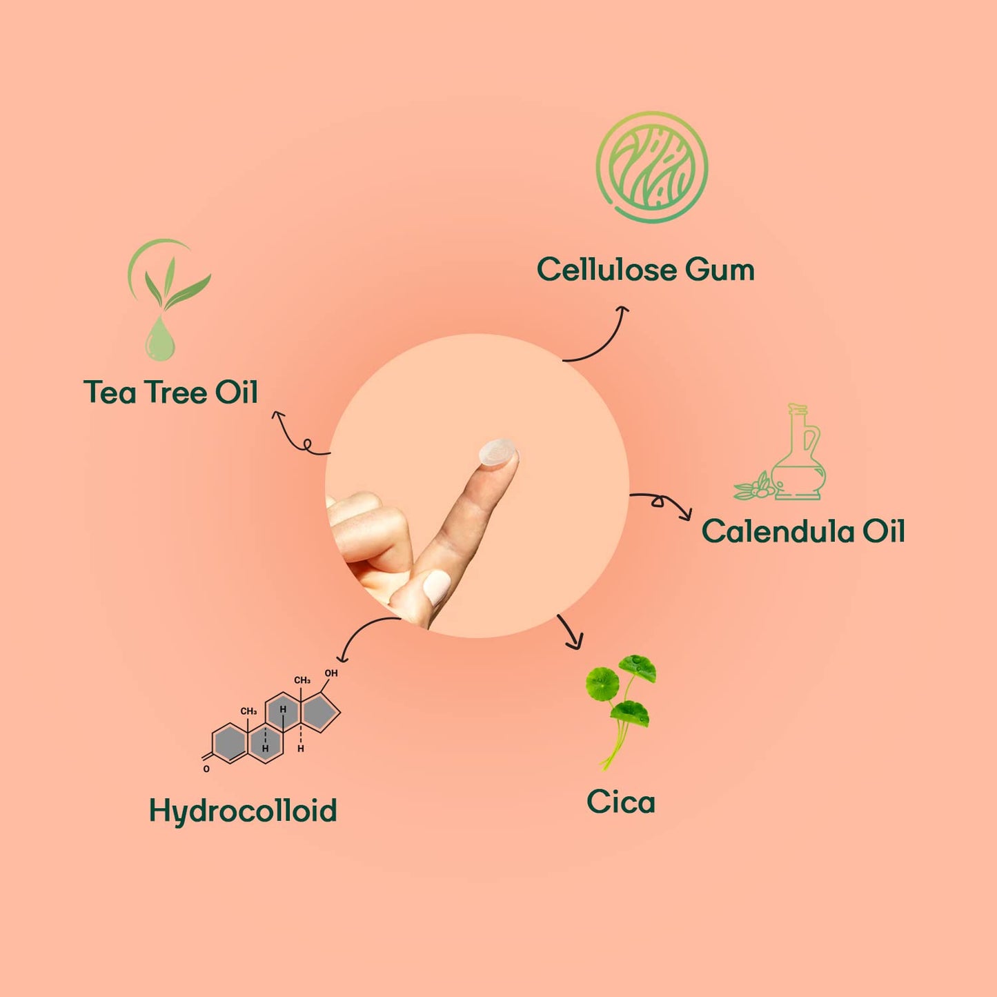 Illustration of a finger with cream and botanical ingredients on a pink background
