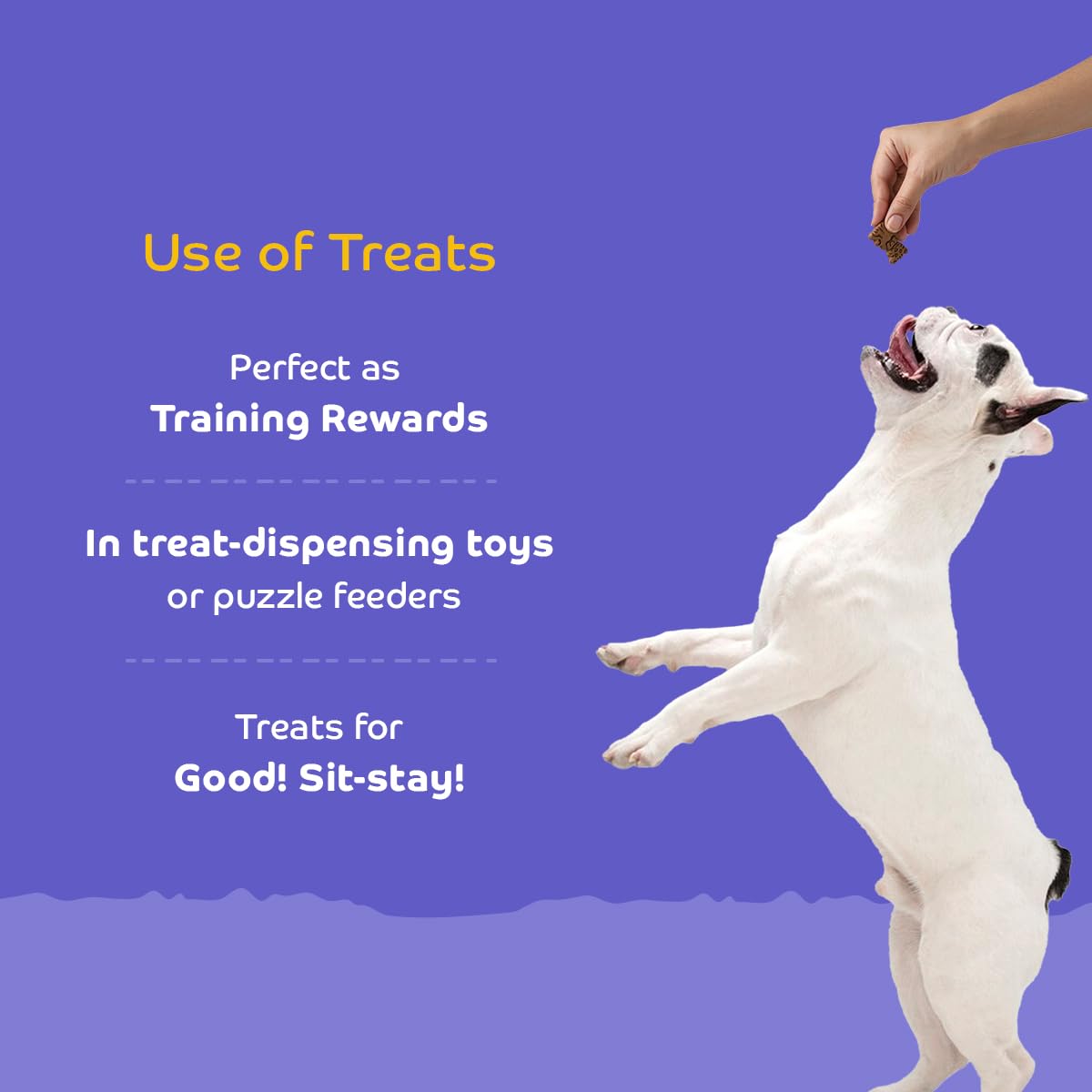 Applod Lamb with Ashwagandha Dog Biscuits for Puppies & Adult Dogs | Oven-Baked Crunchy Dog Treats Made with Real Ingredients | Healthy Training & Reward Snacks | 845g