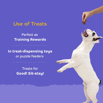 Applod Lamb with Ashwagandha Dog Biscuits for Puppies & Adult Dogs | Oven-Baked Crunchy Dog Treats Made with Real Ingredients | Healthy Training & Reward Snacks | 845g