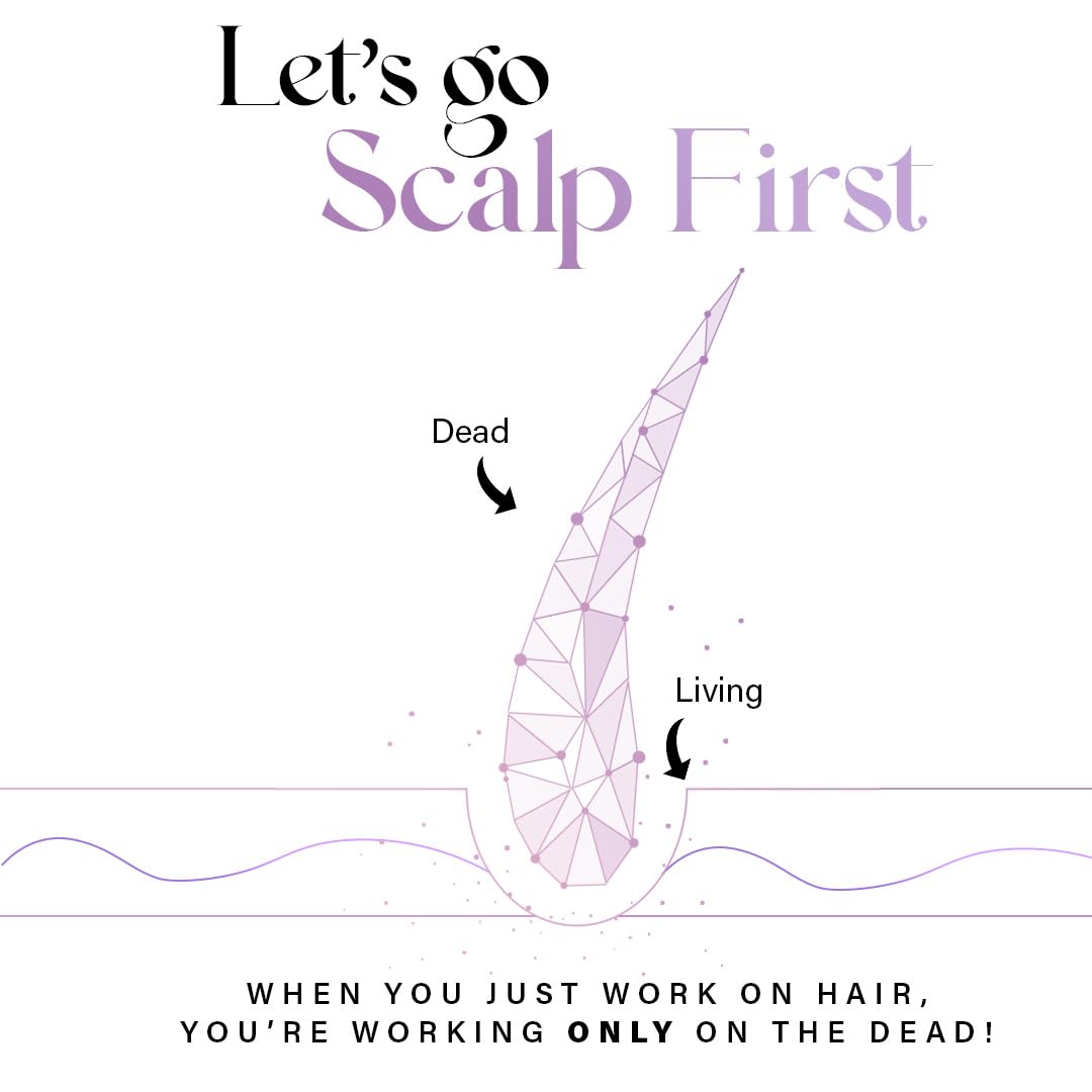 Diagram of scalp with 'Dead' and 'Living' hair strands, text 'Let's go Scalp First' and 'When you just work on hair, you're working only on the dead!'.