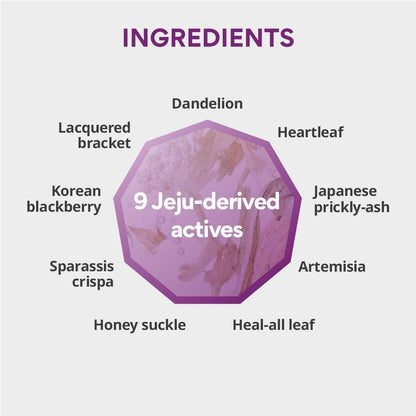 Innisfree Perfect 9 Intensive Repair Skin Anti-Aging Toner 200ml with 9 Active Jeju Ingredients - Korean Skincare for Firming, Hydrating, and Revitalizing Skin, Reduces Fine Lines & Wrinkles