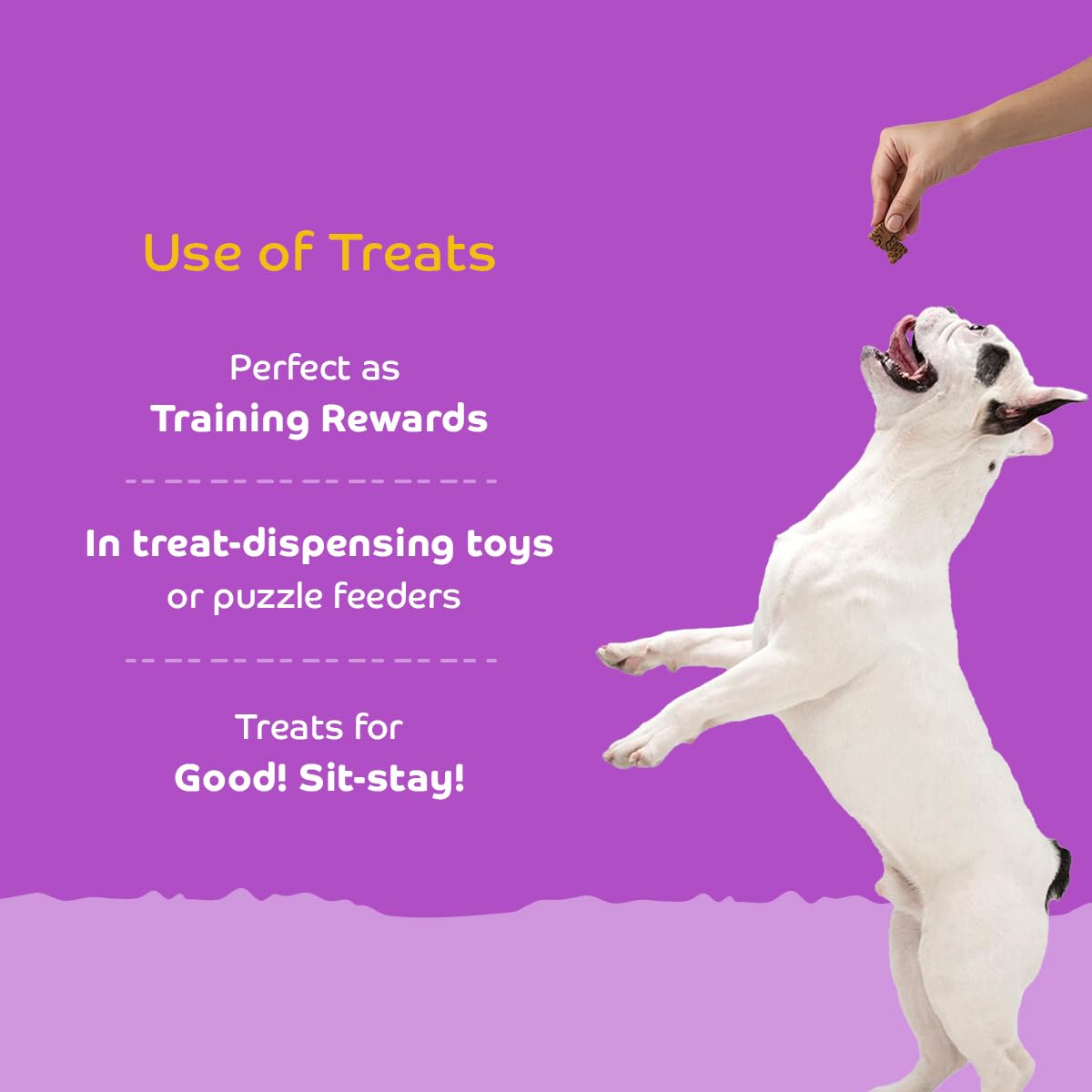 Applod Chicken Dog Biscuits for Puppies & Adult Dogs | Oven-Baked Crunchy Dog Treats Made with Real Ingredients | Healthy Training & Reward Snacks | 845g