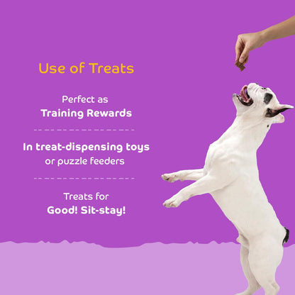 Applod Chicken Dog Biscuits for Puppies & Adult Dogs | Oven-Baked Crunchy Dog Treats Made with Real Ingredients | Healthy Training & Reward Snacks | 845g