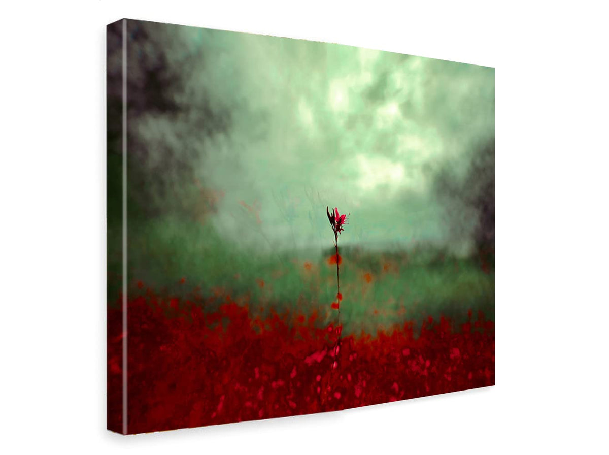 Printed Framed Canvas Painting for Home Decor Office Studio Wall Living Room Decoration (14x10inch Wrapped) - Single Flower