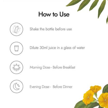 Kapiva Liver Care Juice (1L) | Anti-oxidant Rich Supplement With 5 Ayurvedic Herbs | Supports Fatty Liver Management & Detox