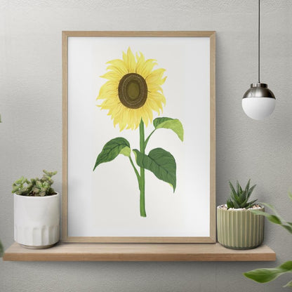 Sunflower Botanical Wall Painting| Modern Art Painting for Living Room Bed Room and Office | 11 x 14 inches (Natural Frame)